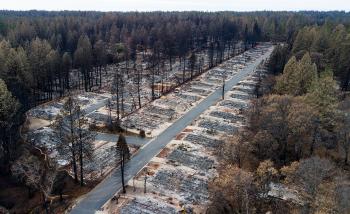 Burned lots 